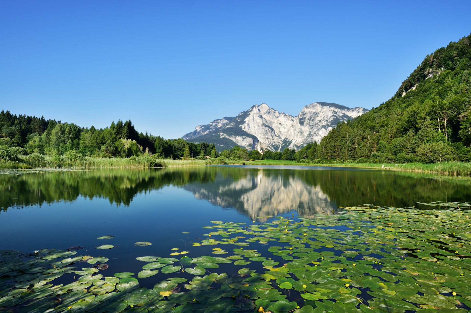 Spiegelglatter Bergsee mit Seerosen im Vordergrund, bewachsenes Ufer und schroffe, schneebedeckte Berge vor blauem Himmel.