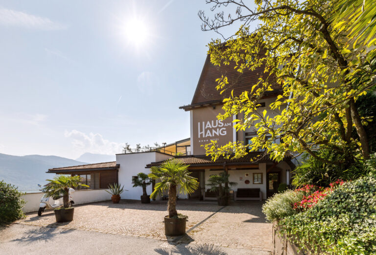 Eingangsbereich des Hotels 'Haus am Hang' mit Fassadenschrift, Terrassen&uuml;berdachung, Topfpalme und sonnigem Himmel