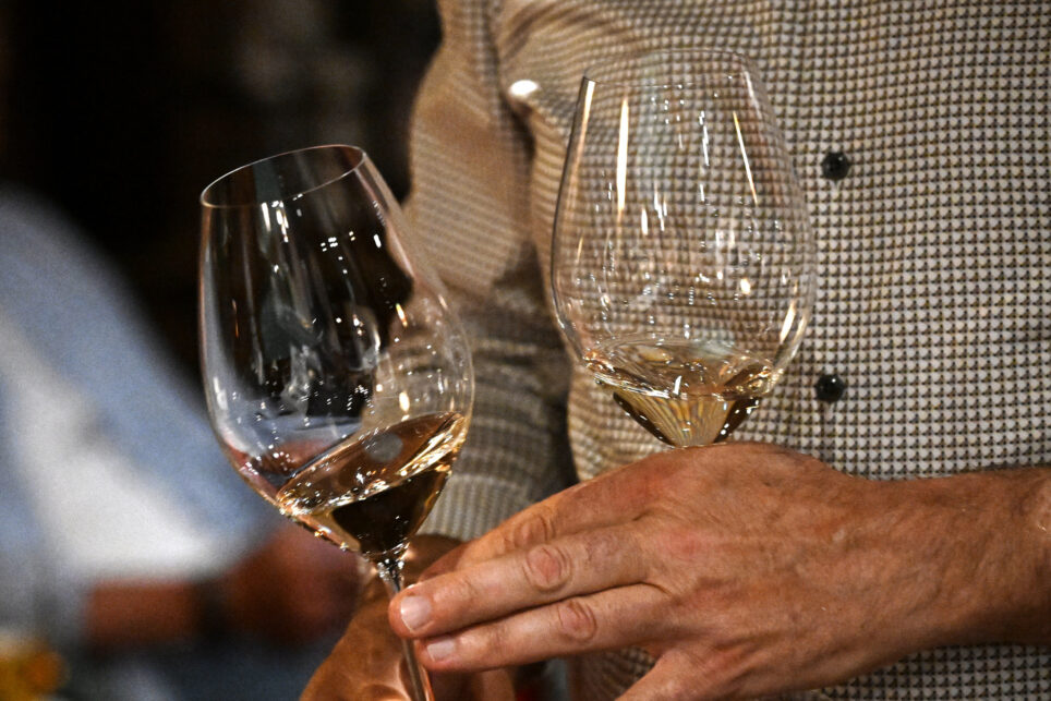 Zwei Hände halten Kelchgläser mit hellem Weißwein bei einer Weinverkostung.